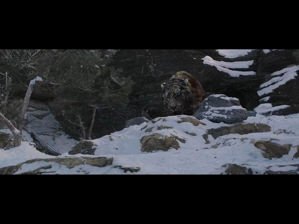 隻眼の虎の画像