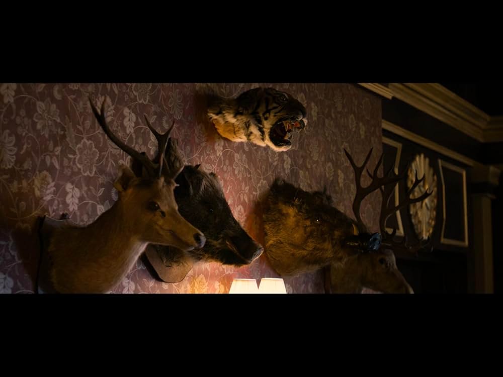 隻眼の虎の画像