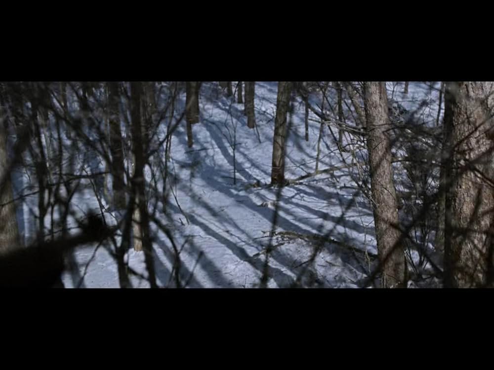 隻眼の虎の画像