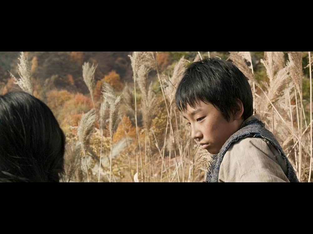 隻眼の虎の画像