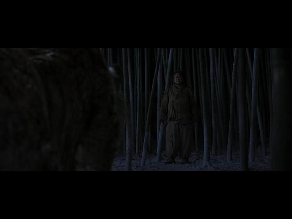 隻眼の虎の画像