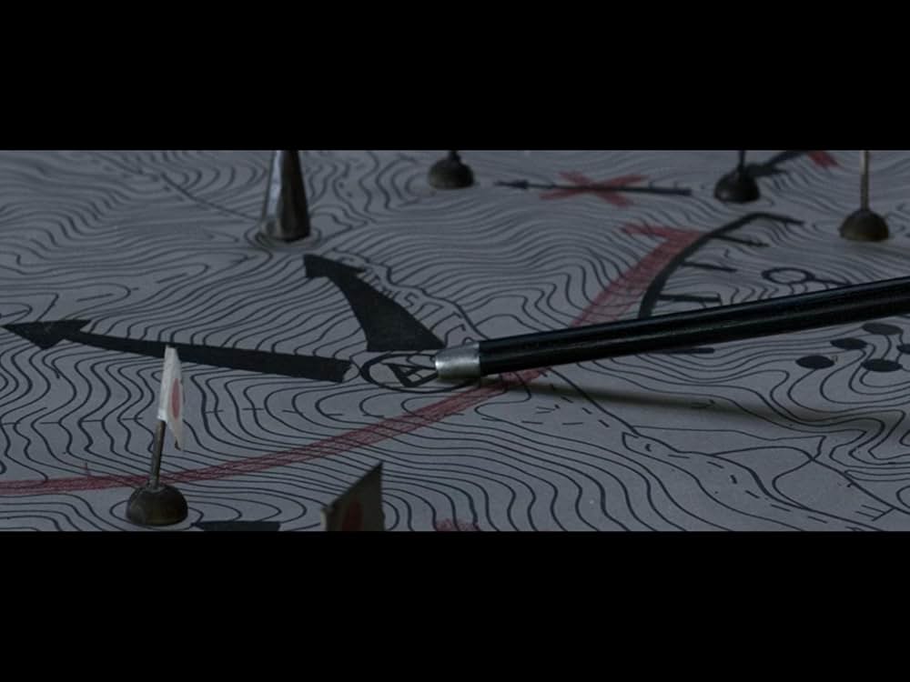 隻眼の虎の画像