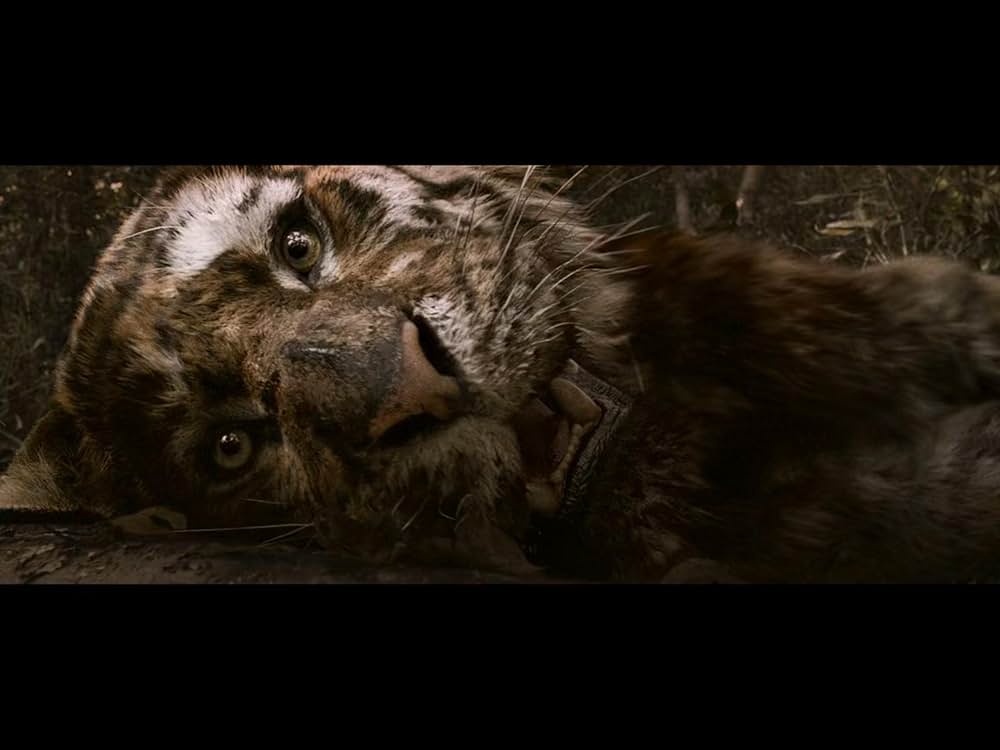 隻眼の虎の画像