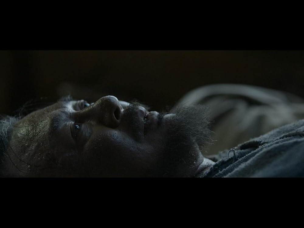 隻眼の虎の画像