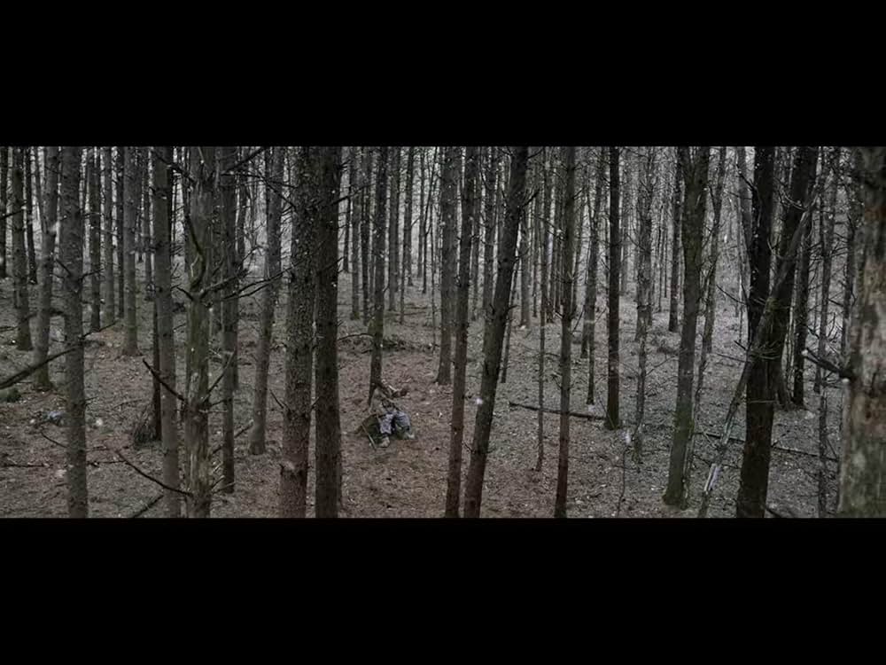 隻眼の虎の画像