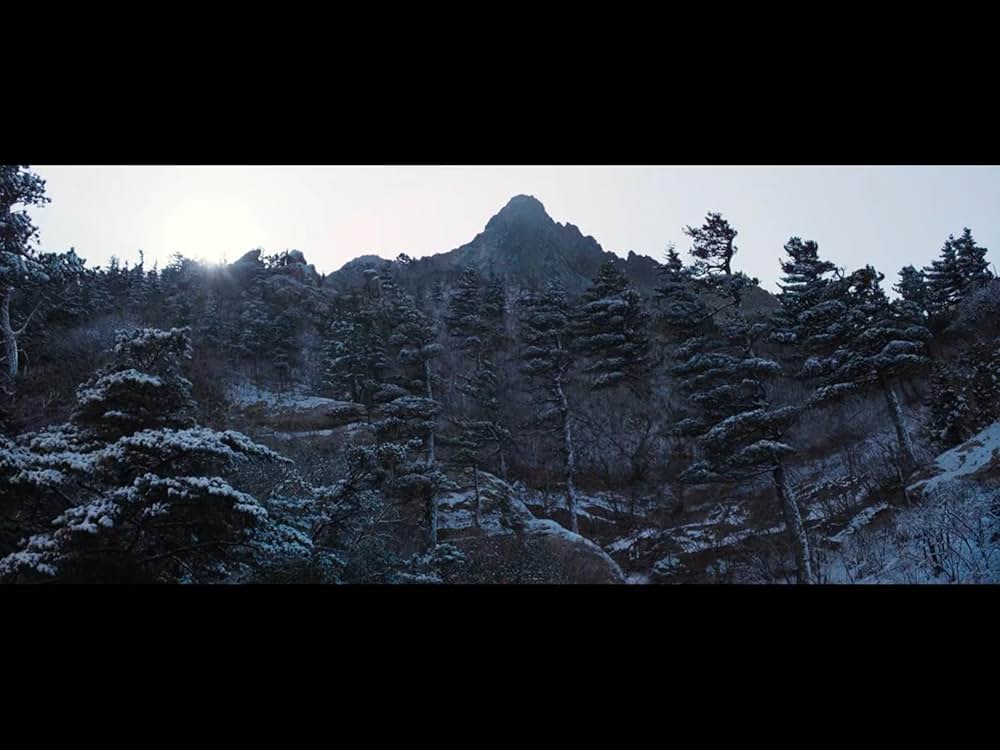 隻眼の虎の画像