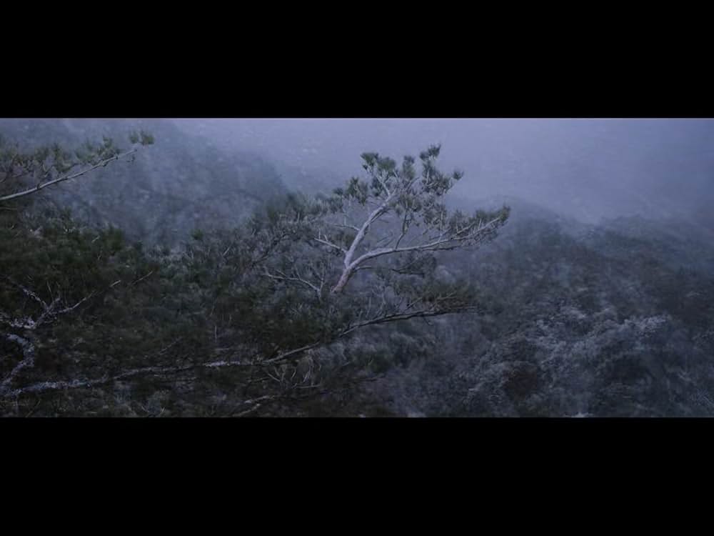 隻眼の虎の画像