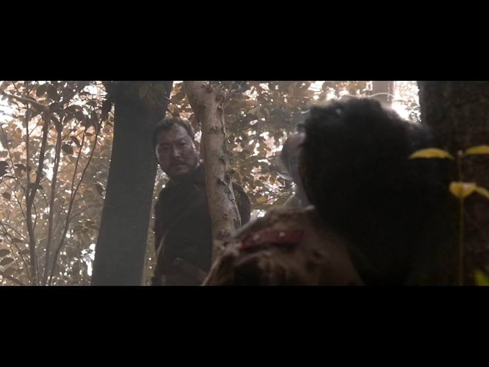 隻眼の虎の画像