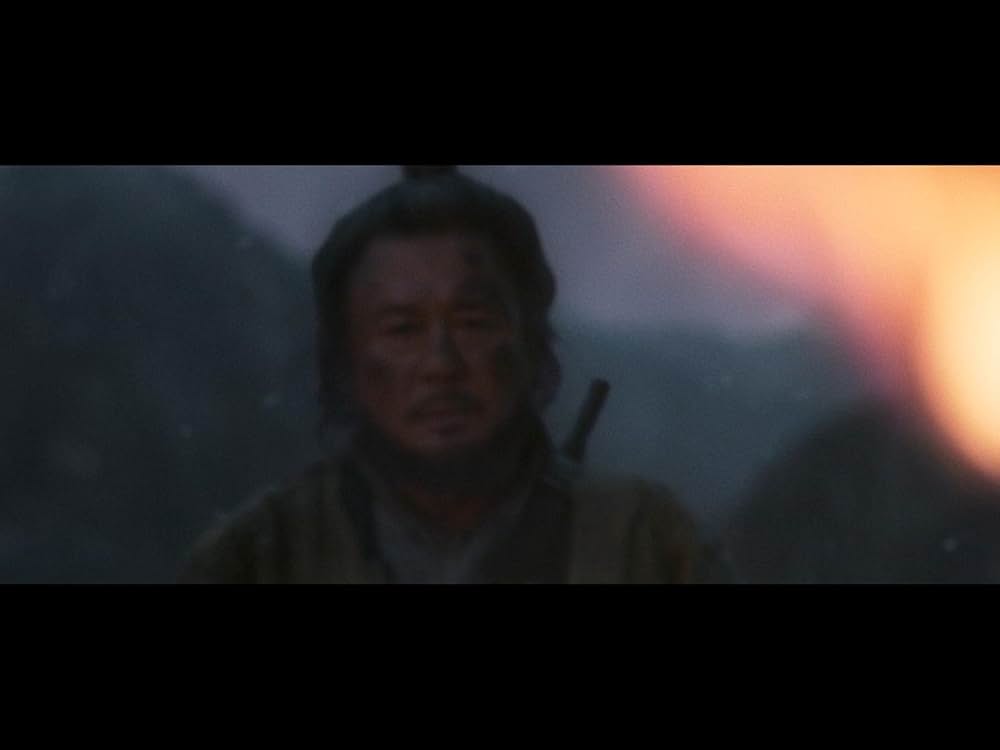 隻眼の虎の画像