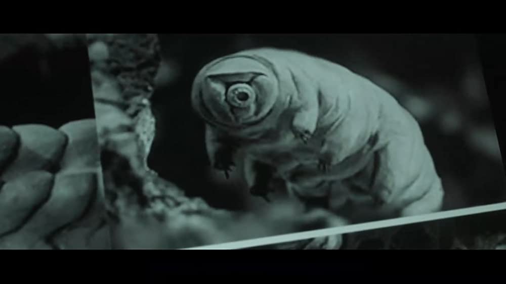 X-コンタクトの画像