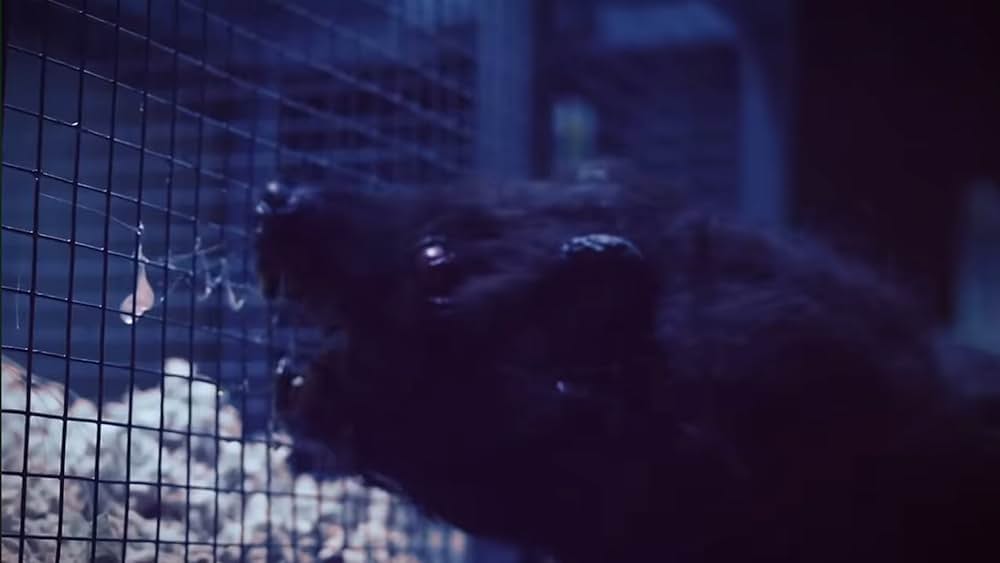 アタック・オブ・ザ・キラー・ドーナツの画像