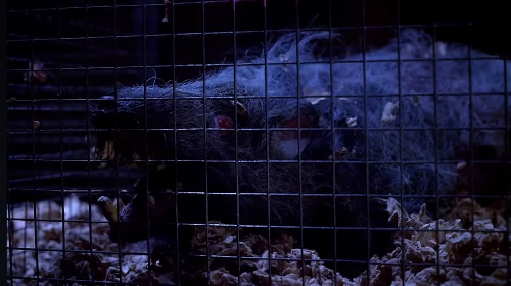 アタック・オブ・ザ・キラー・ドーナツの画像