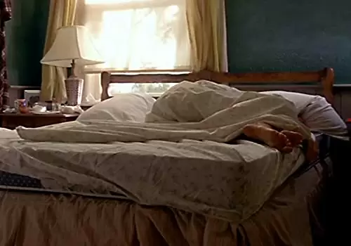 マップ・オブ・ザ・ワールドの画像