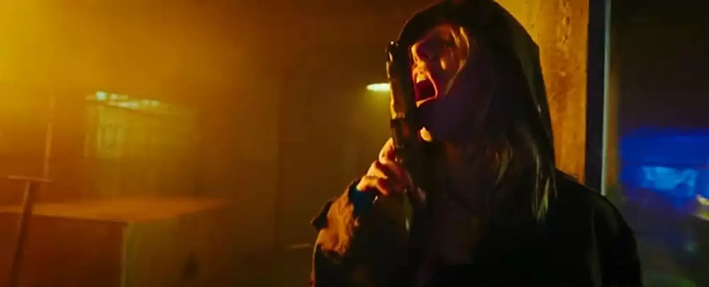 ガンズ・アキンボの画像