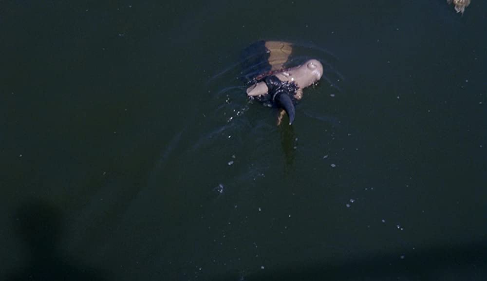 ホドロフスキーの虹泥棒の画像