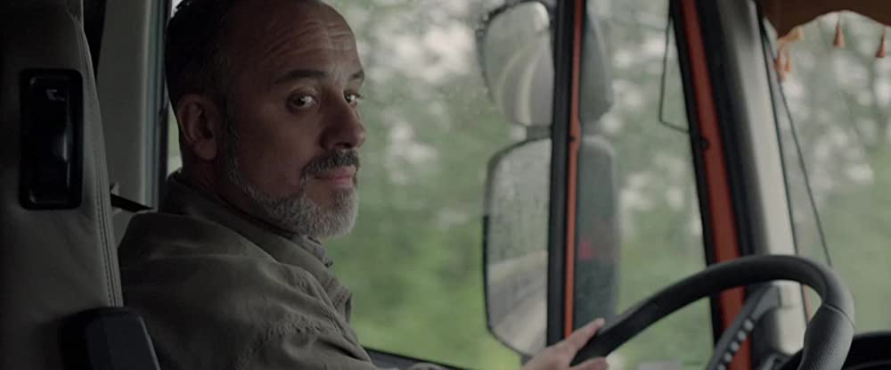 オリーブの樹は呼んでいるの画像