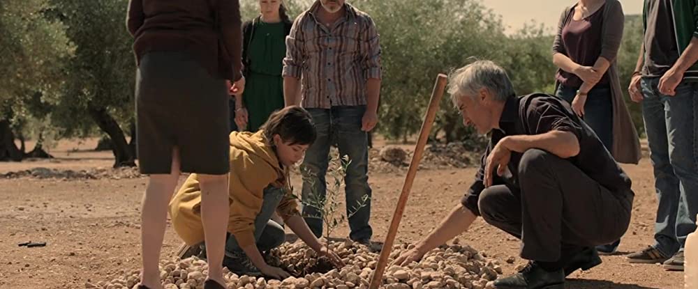 オリーブの樹は呼んでいるの画像