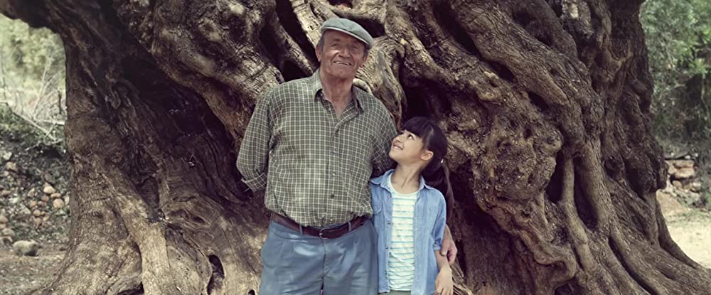 オリーブの樹は呼んでいるの画像