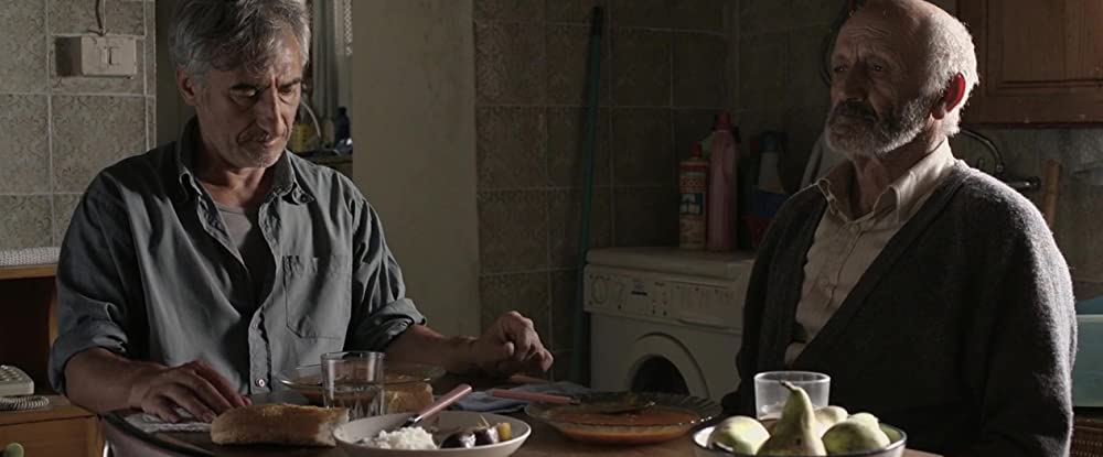 オリーブの樹は呼んでいるの画像