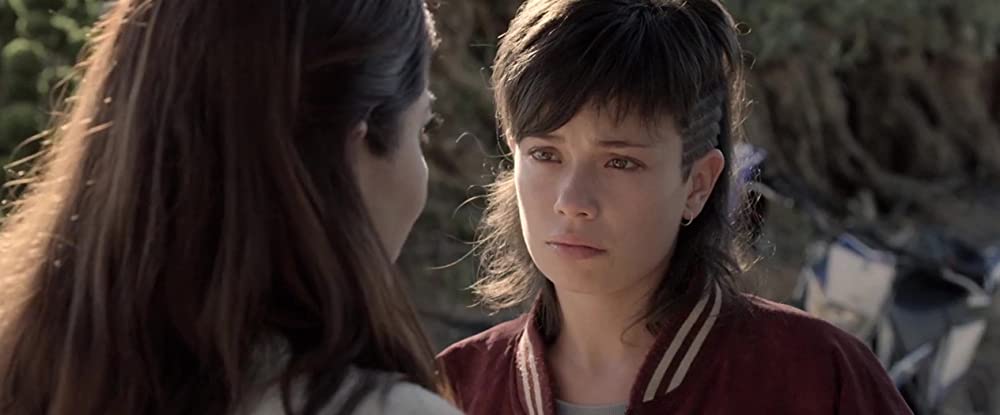 オリーブの樹は呼んでいるの画像