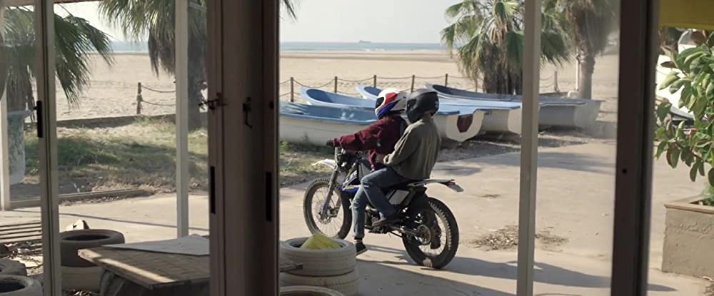 オリーブの樹は呼んでいるの画像