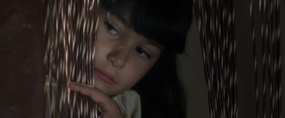 オリーブの樹は呼んでいるの画像