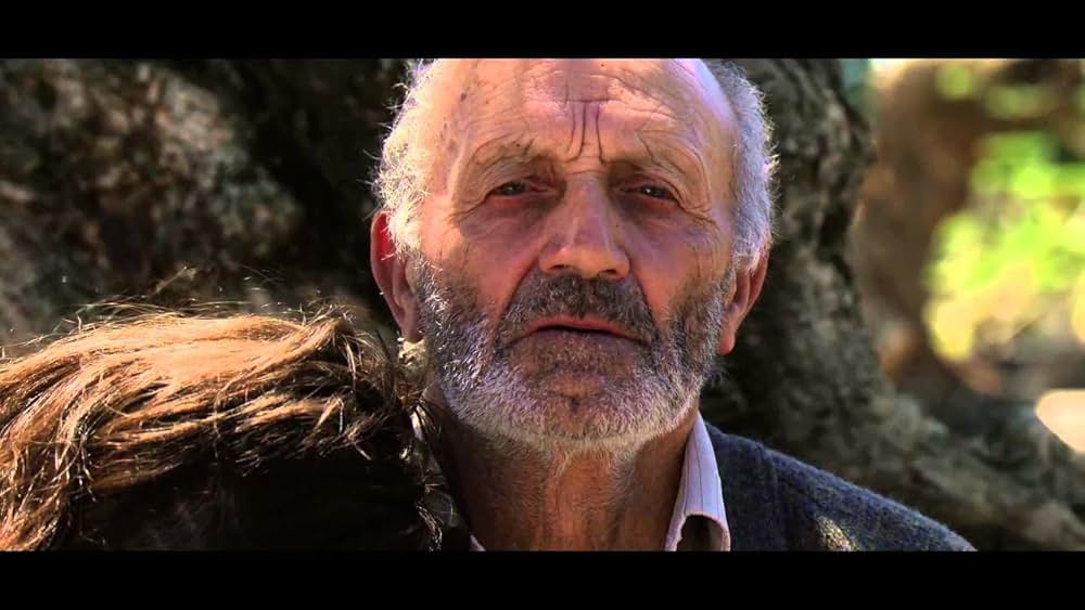 オリーブの樹は呼んでいるの画像