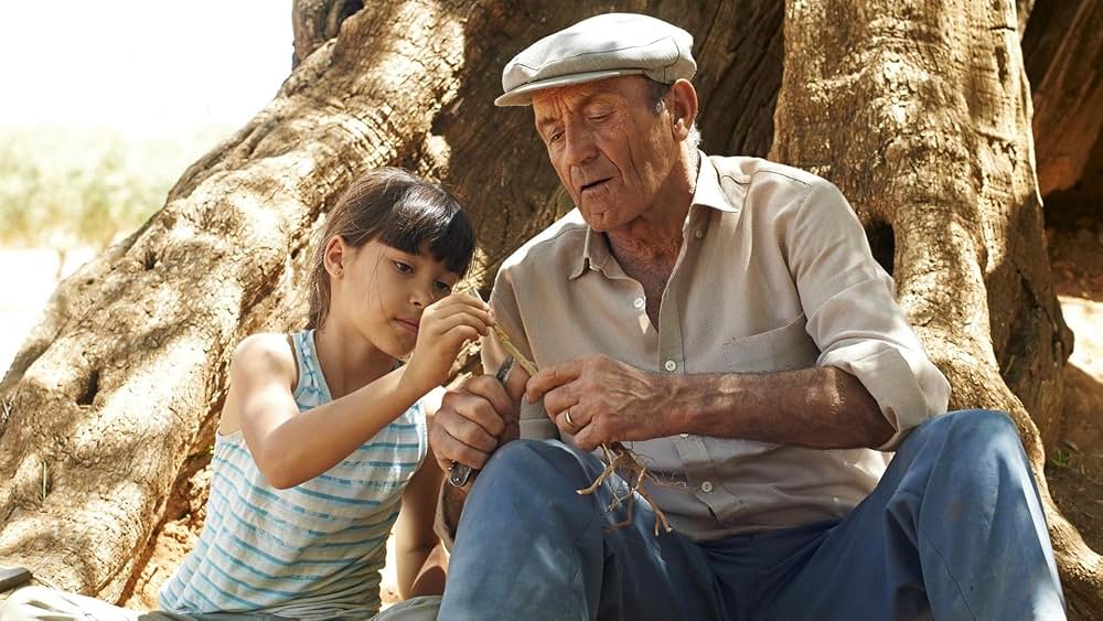 オリーブの樹は呼んでいるの画像