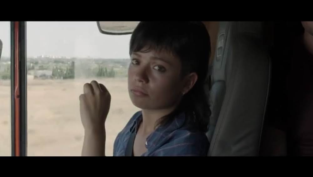 オリーブの樹は呼んでいるの画像