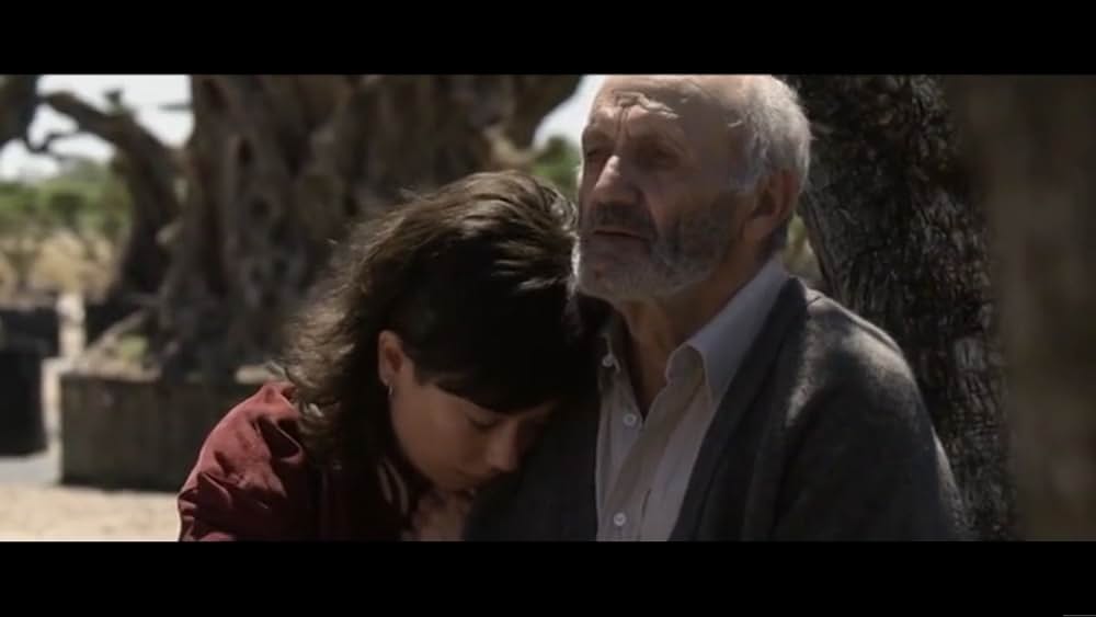 オリーブの樹は呼んでいるの画像