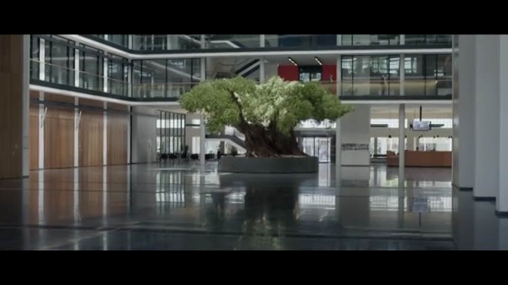 オリーブの樹は呼んでいるの画像