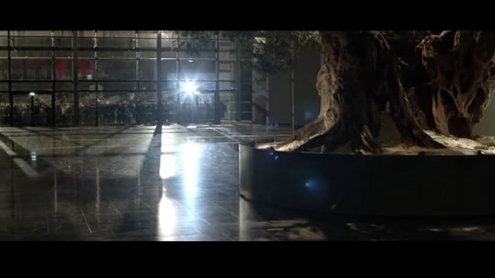 オリーブの樹は呼んでいるの画像