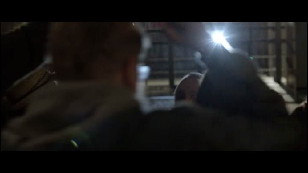 オリーブの樹は呼んでいるの画像