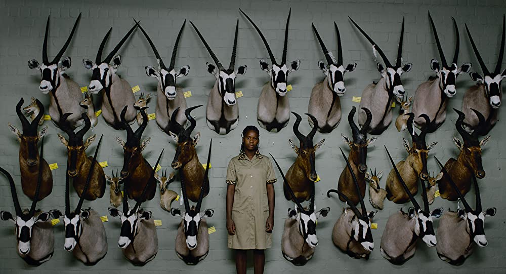 サファリの画像