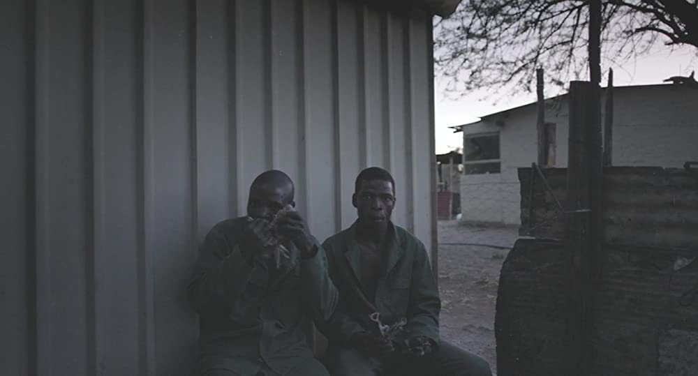 サファリの画像