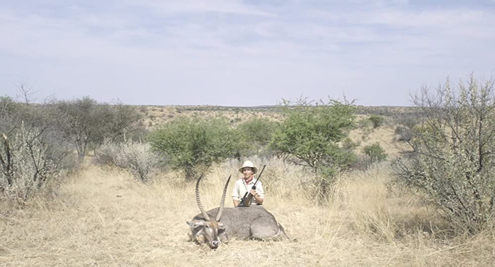 サファリの画像