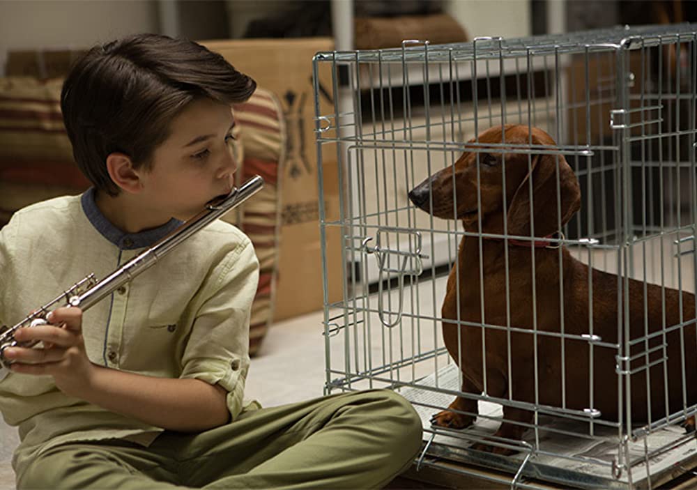 「トッド・ソロンズの子犬物語」キートン・ナイジェル・クックの画像