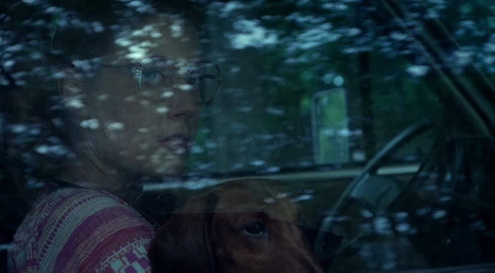 トッド・ソロンズの子犬物語の画像