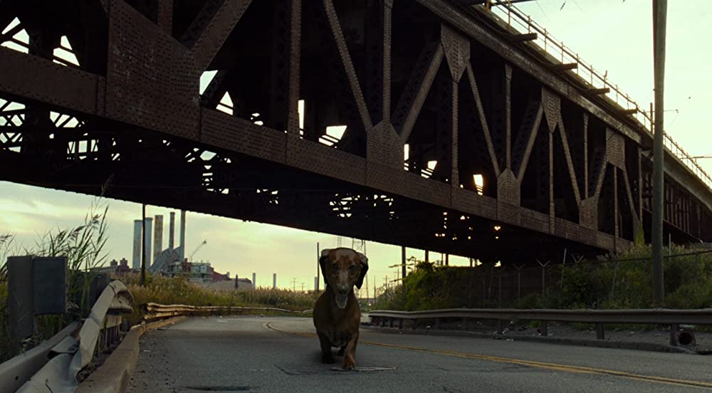 トッド・ソロンズの子犬物語の画像