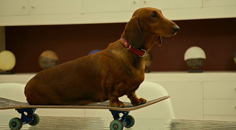 トッド・ソロンズの子犬物語の画像