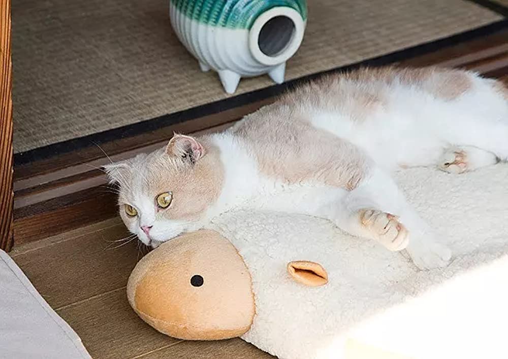 ねこあつめの家の画像
