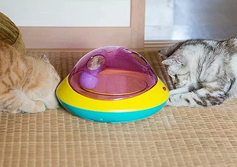 ねこあつめの家の画像