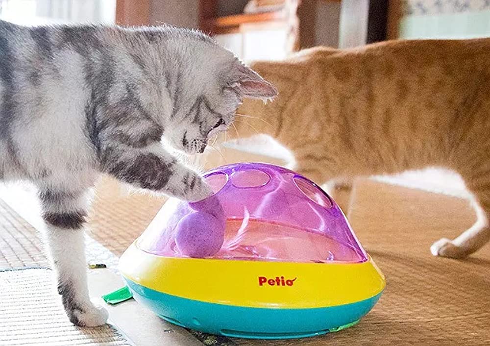 ねこあつめの家の画像