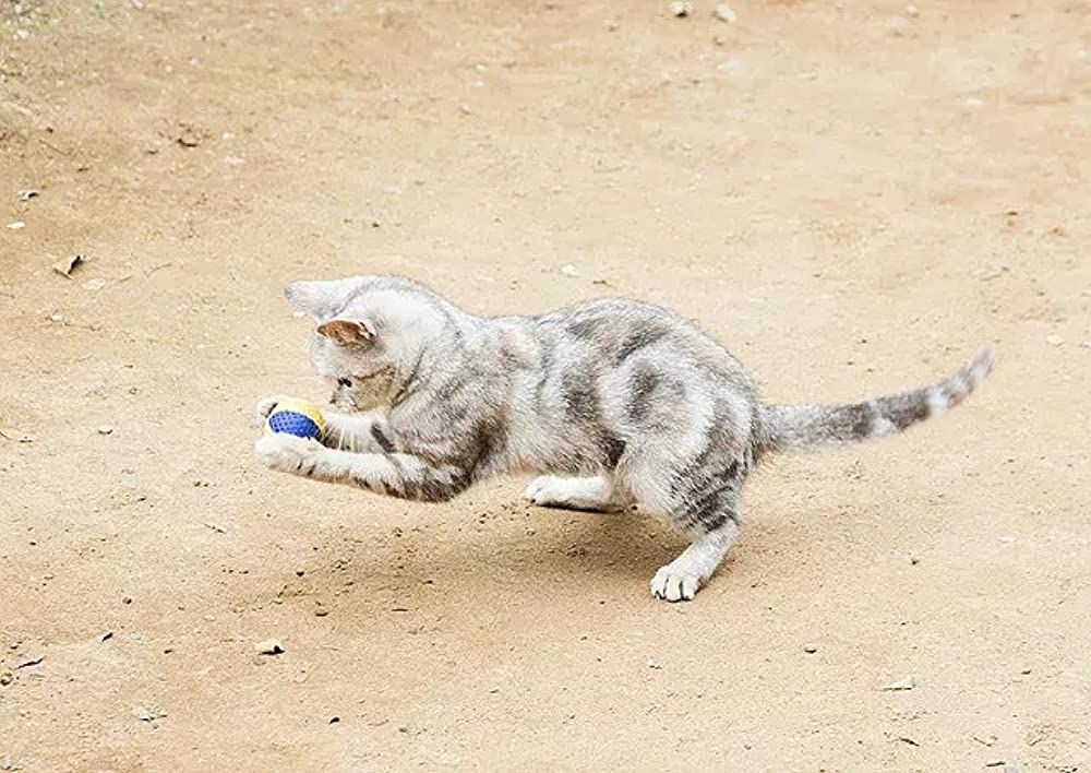 ねこあつめの家の画像