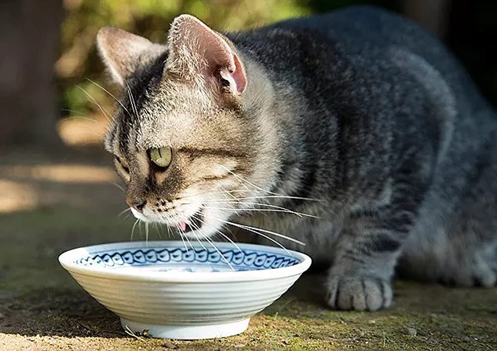 ねこあつめの家の画像