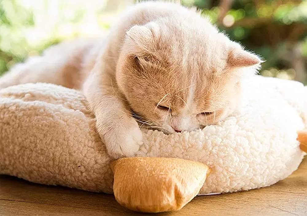 ねこあつめの家の画像
