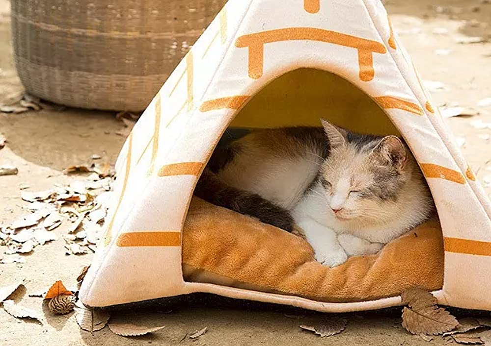 ねこあつめの家の画像