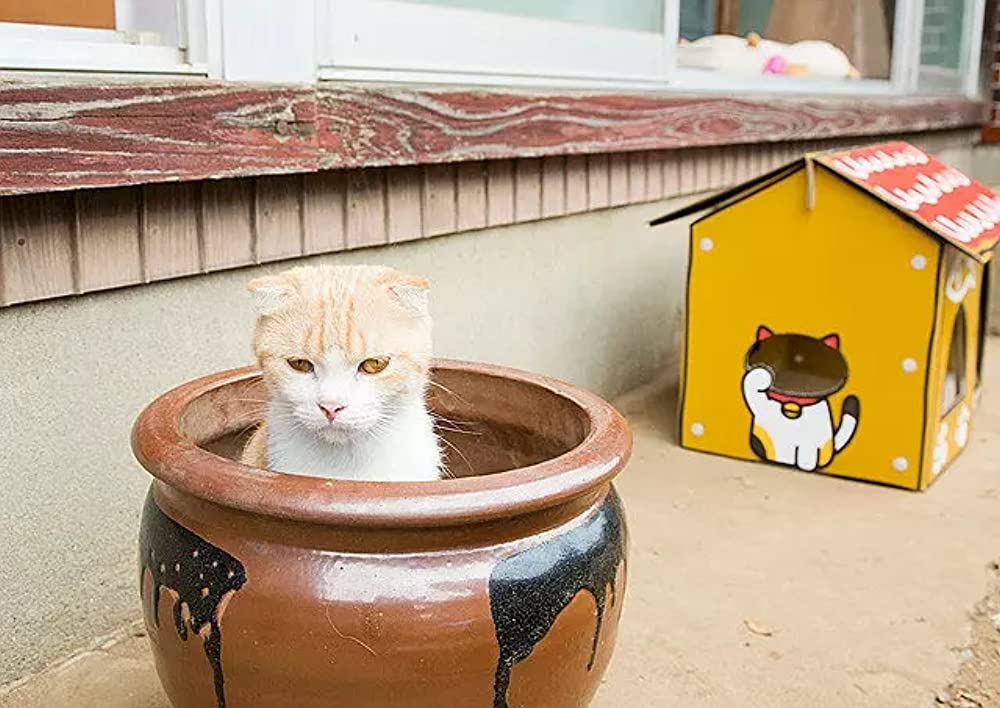 ねこあつめの家の画像