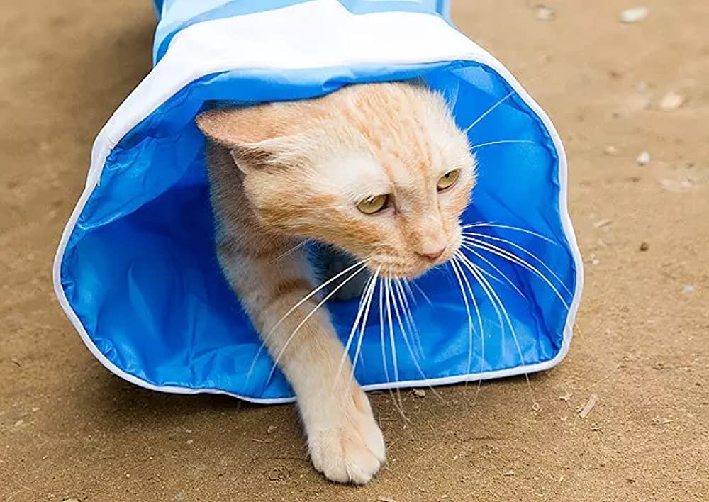ねこあつめの家の画像