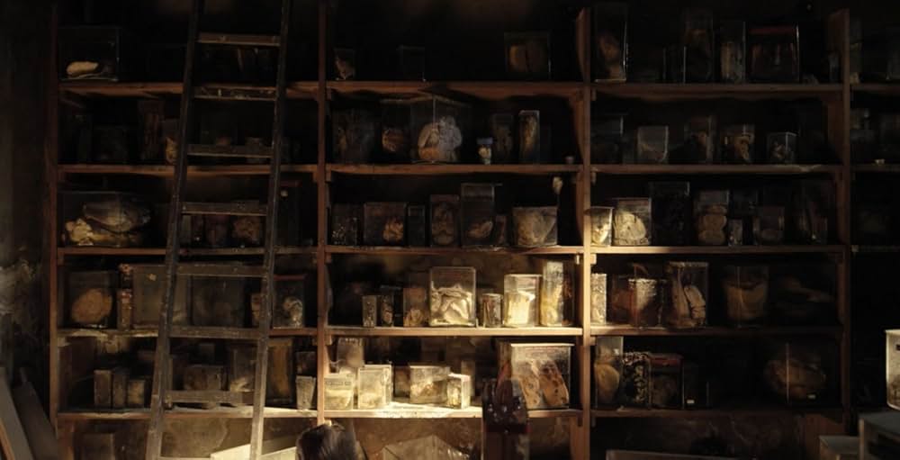 人類遺産の画像